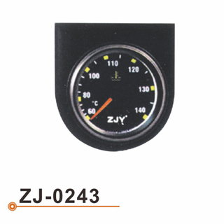 ZJ-0243 水温表