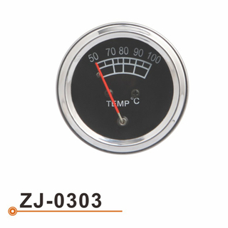 ZJ-0303 水温表
