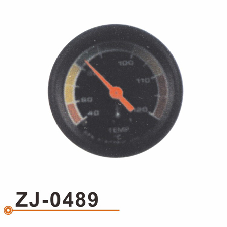 ZJ-0489 水温表