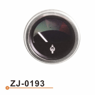 ZJ-0193 水温表