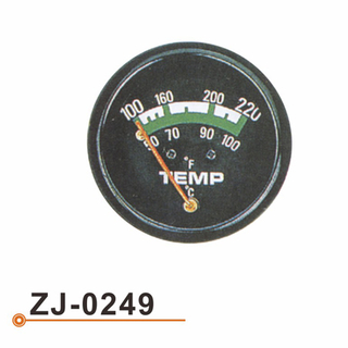 ZJ-0249 水温表