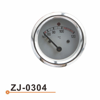 ZJ-0304 水温表