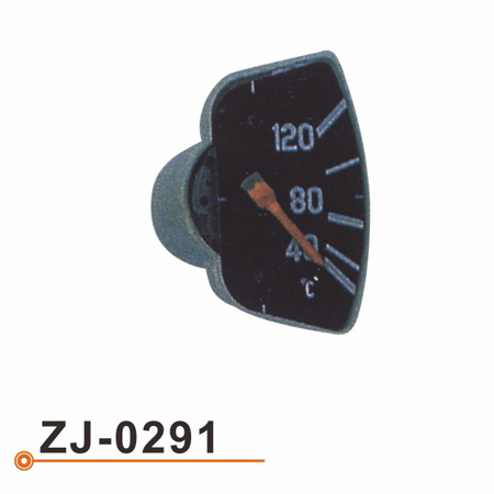 ZJ-0291小表