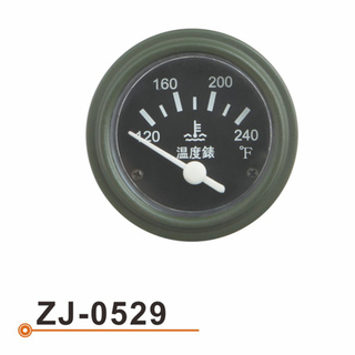 ZJ-0529 水温表
