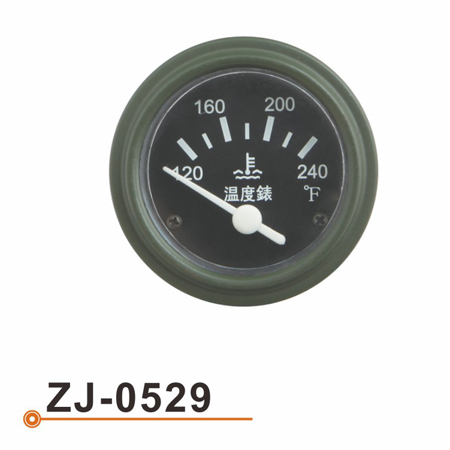 ZJ-0529 水温表