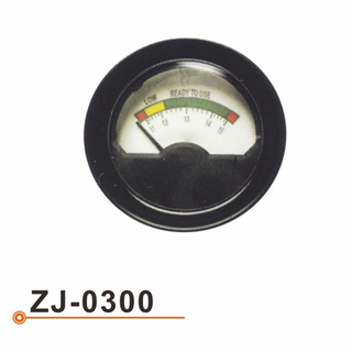 ZJ-0300 电压表