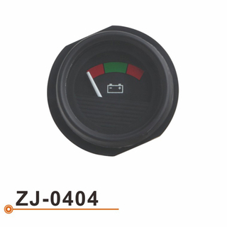 ZJ-0404 电压表