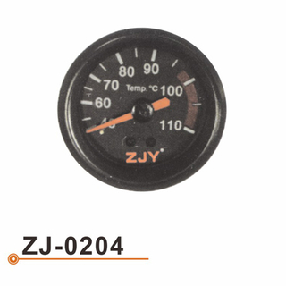 ZJ-0204 水温表