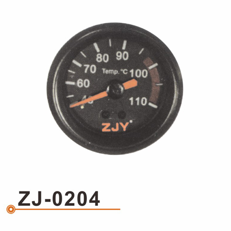 ZJ-0204 水温表