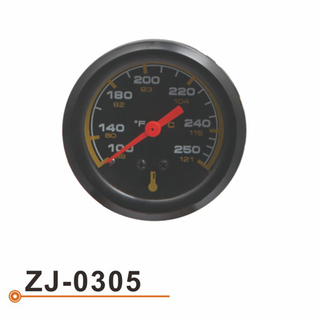 ZJ-0305 水温表