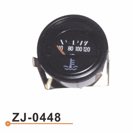 ZJ-0448 水温表