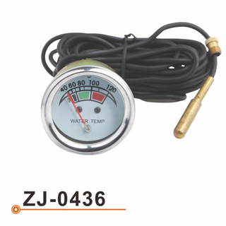 ZJ-0436 水温表