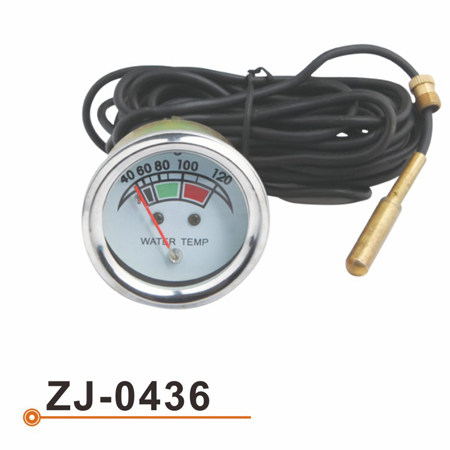 ZJ-0436 水温表