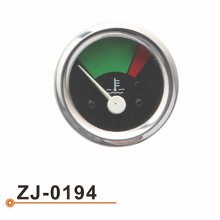 ZJ-0194 水温表