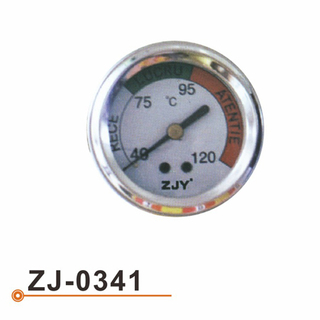 ZJ-0341 水温表