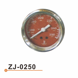 ZJ-0250 水温表