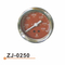 ZJ-0250 水温表