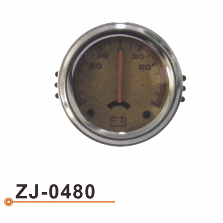 ZJ-0480 电流表