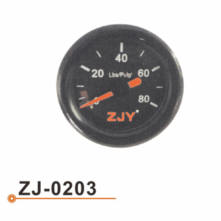 ZJ-0203 油压表