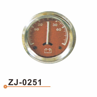 ZJ-0251 电流表