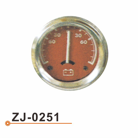 ZJ-0251 电流表