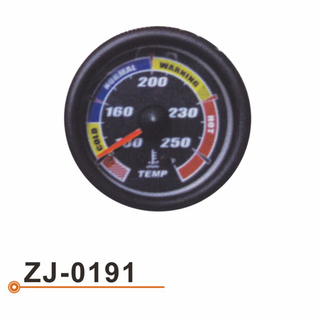 ZJ-0191 水温表