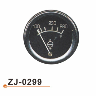 ZJ-0299 水温表