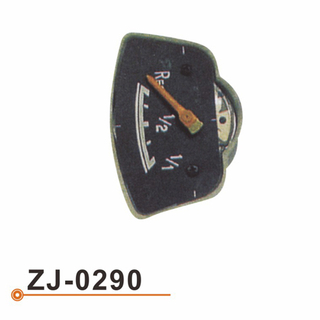 ZJ-0290小表