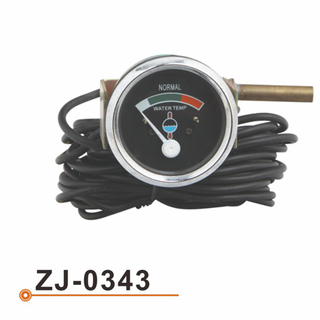 ZJ-0343 水温表