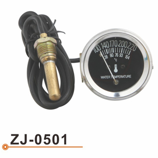 ZJ-0501 水温表