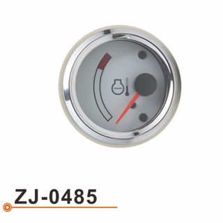 ZJ-0485 水温表