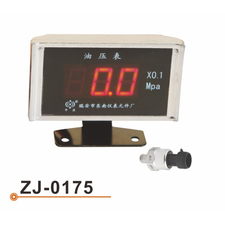 ZJ-0175 数码表