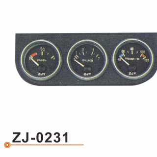 ZJ-0231 连体表