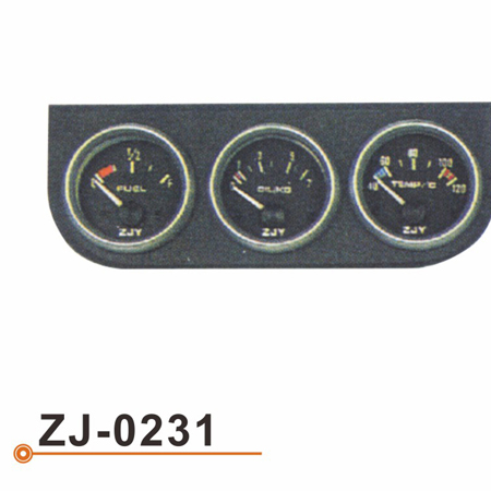 ZJ-0231 连体表
