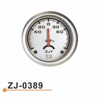 ZJ-0389 电流表