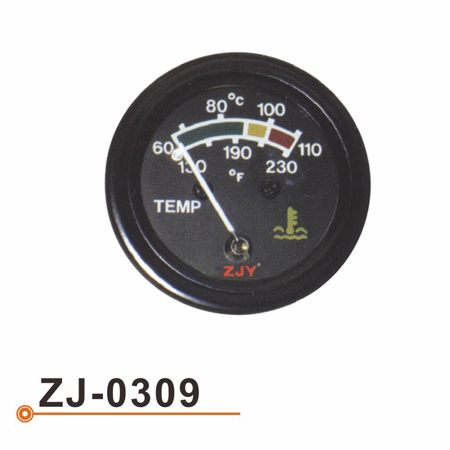 ZJ-0309 水温表