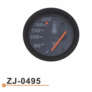 ZJ-0495 水温表