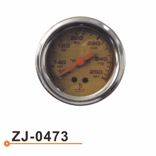 ZJ-0473 水温表