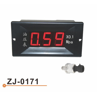ZJ-0171 数码表