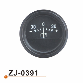ZJ-0391 电流表