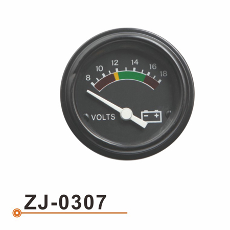 ZJ-0307 电压表