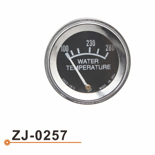 ZJ-0257 水温表