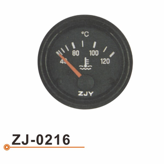 ZJ-0216 水温表