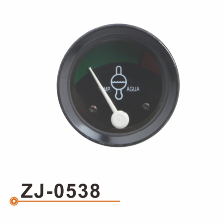 ZJ-0538 水温表