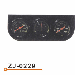 ZJ-0229 连体表