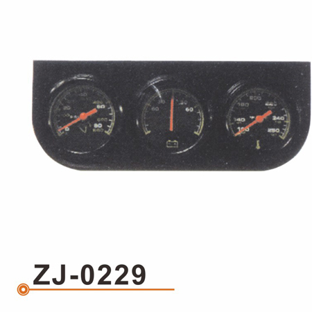 ZJ-0229 连体表
