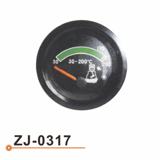 ZJ-0317 水温表