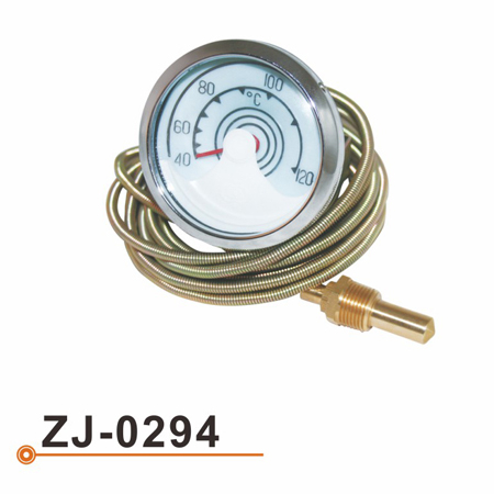 ZJ-0294 水温表