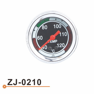 ZJ-0210 水温表