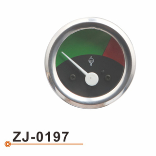 ZJ-0197 水温表
